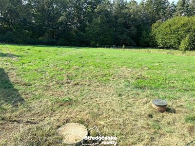 photo_19