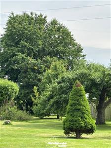 photo_6