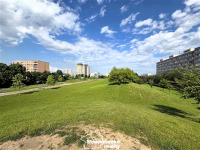 photo_19