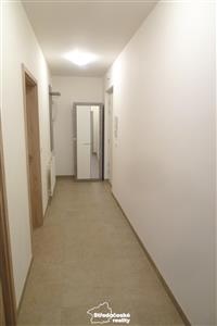 photo_11