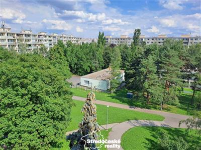 photo_11