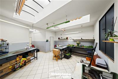 photo_8