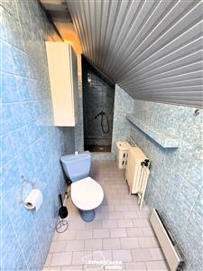 photo_6