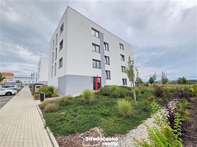 photo_18