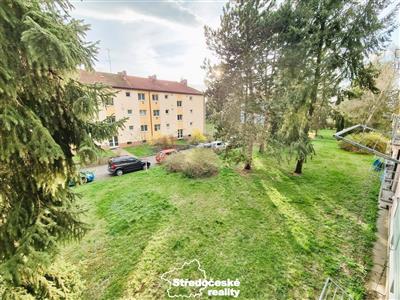 photo_8