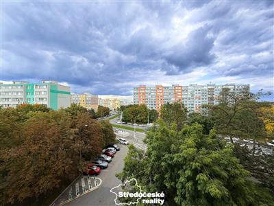 photo_11