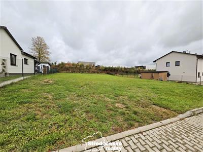 photo_3