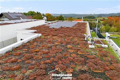 photo_42