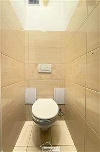 photo_11