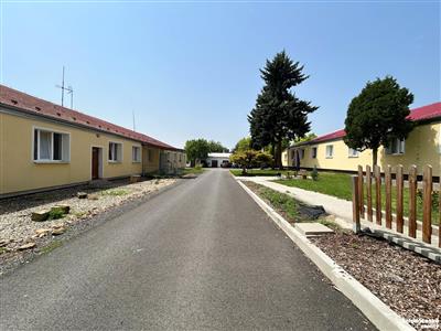 photo_7