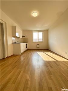 photo_7