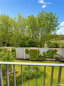 photo_19