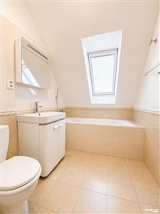 photo_10