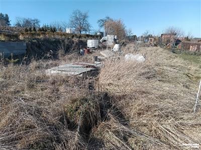 photo_4