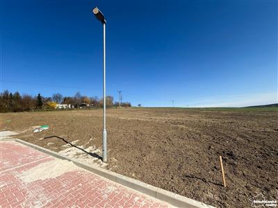 photo_2