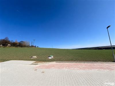 photo_3