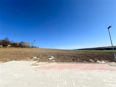 photo_4