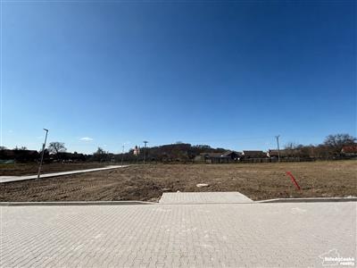 photo_2