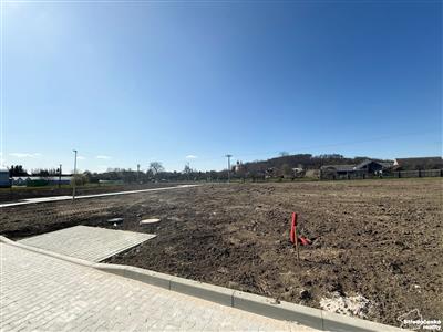 photo_20