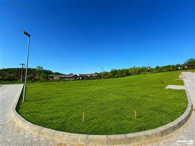 photo_4
