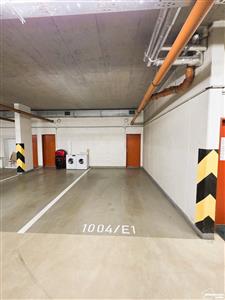 photo_12
