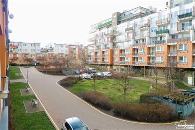 photo_6