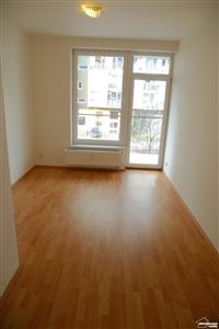 photo_7