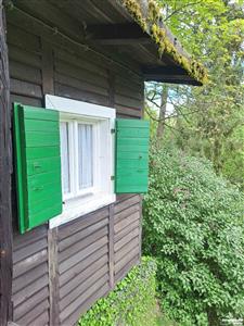 photo_10