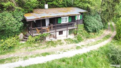 photo_20