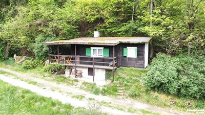 photo_26