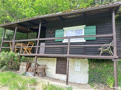 photo_5