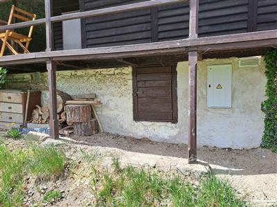 photo_6