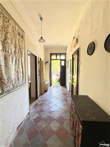 photo_18