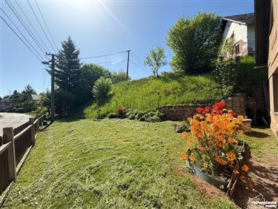 photo_2