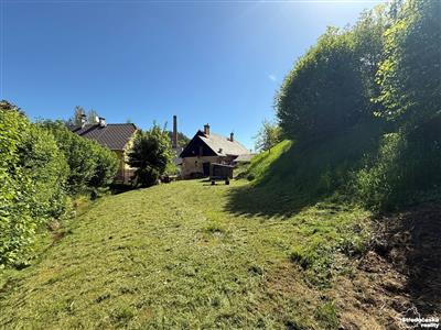 photo_28