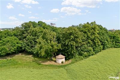 photo_4