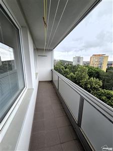 photo_6