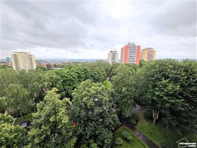 photo_8