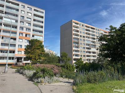 photo_8