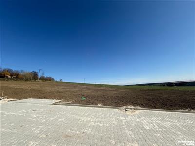 photo_4