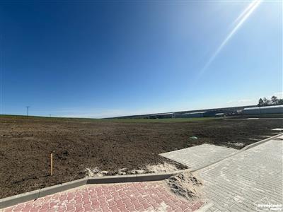 photo_8