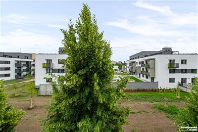 photo_13