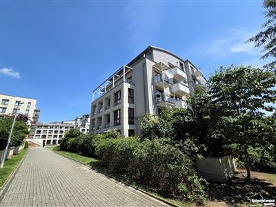 photo_19