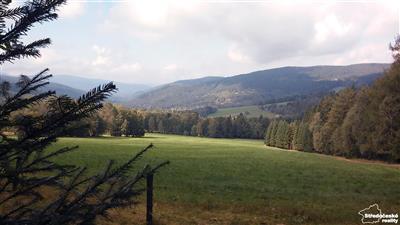 photo_26