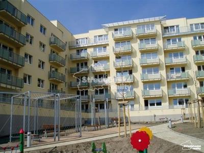 photo_7