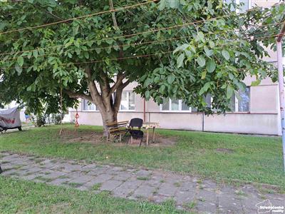 photo_19