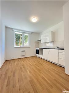 photo_4