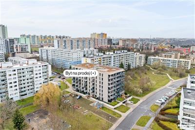 photo_18