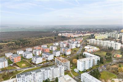 photo_19