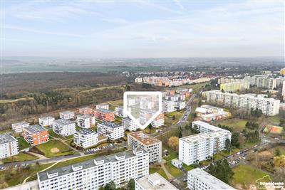 photo_2